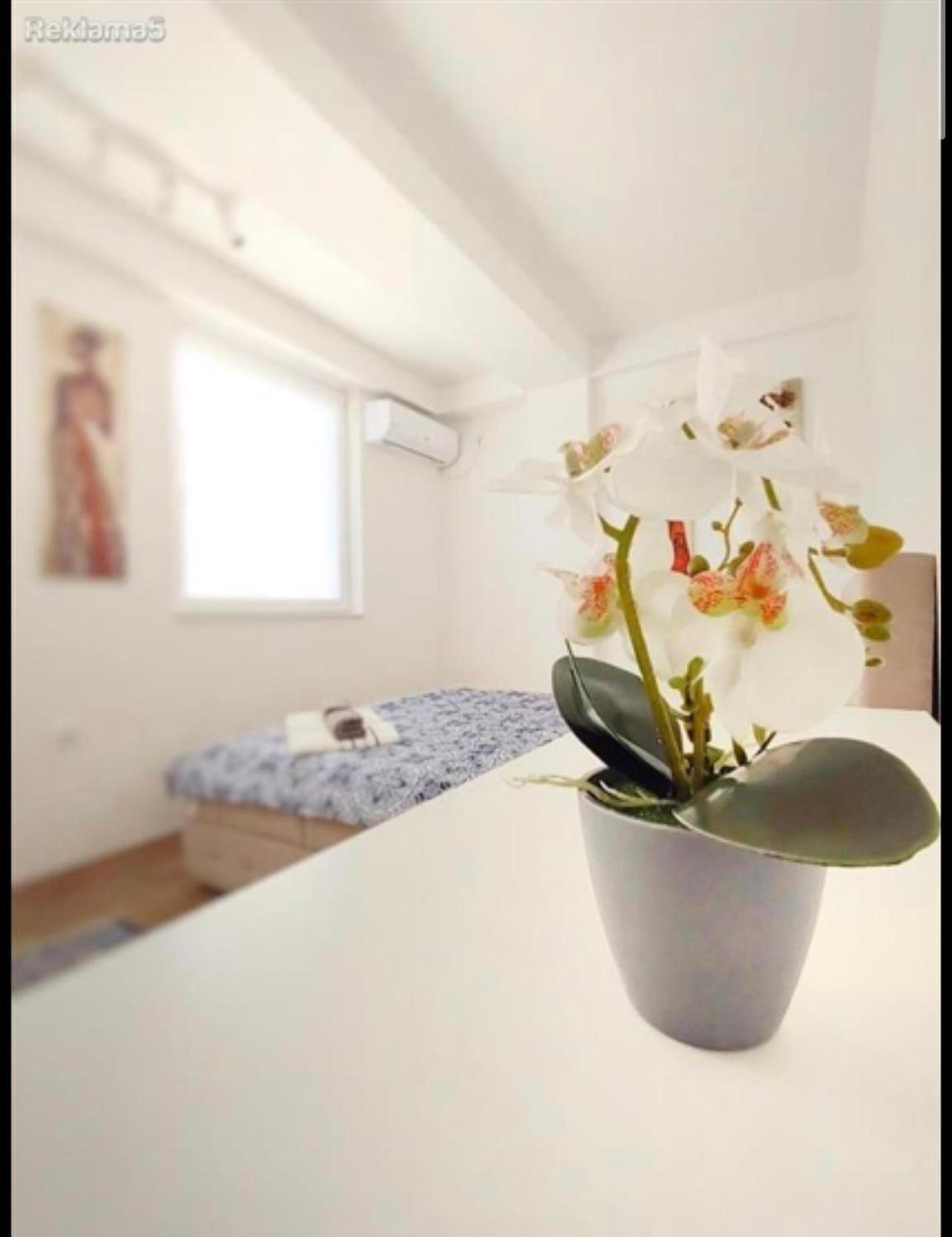 Luxury Skopje Apartments Kültér fotó